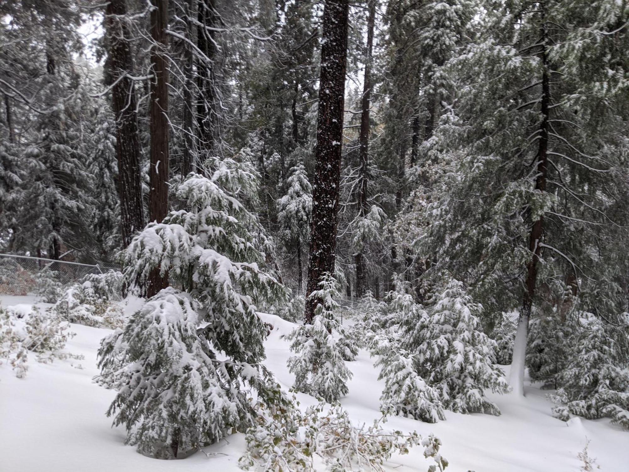 “the Grey Haven” - Secluded In The Woods * Lake Arrowhead